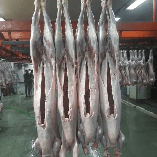 Mutton Carcass