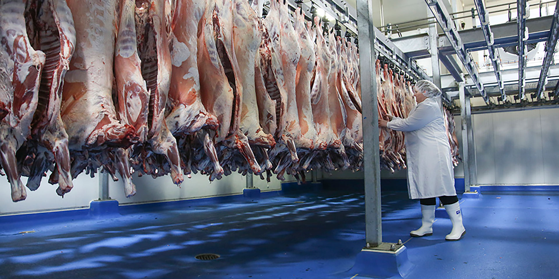 Whole Carcasses